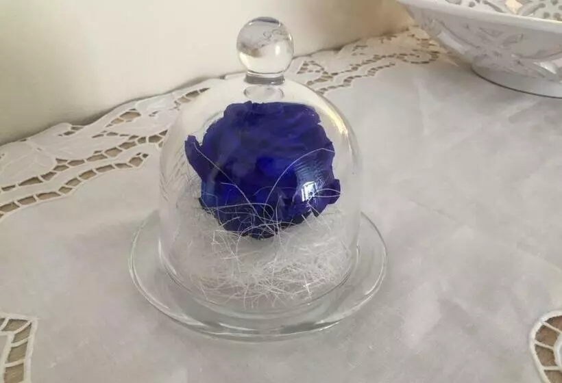 Aamiaismajoitus (B&B) A Casa Tu Zi Melu