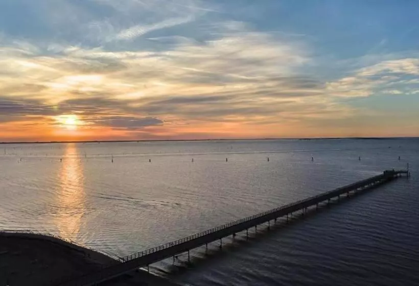 Aamiaismajoitus (B&B) Il Sole Nel Mare   Lido Di Volano