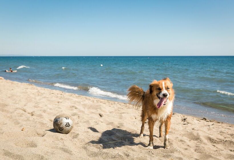 호텔 Gitavillage Club Degli Amici