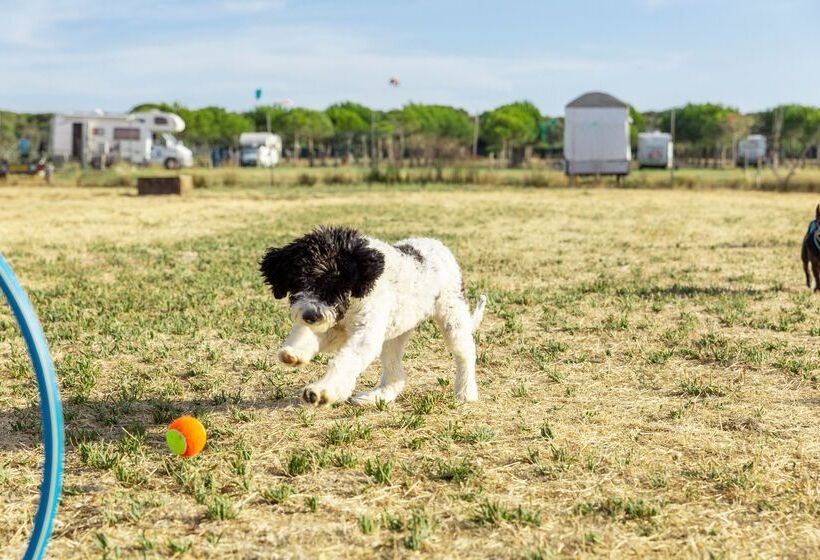 호텔 Gitavillage Club Degli Amici