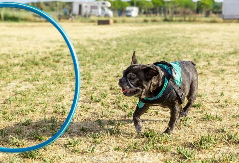 호텔 Gitavillage Club Degli Amici