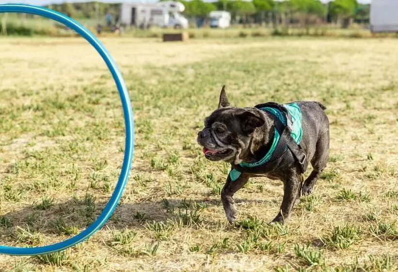 Hotelli Gitavillage Club Degli Amici