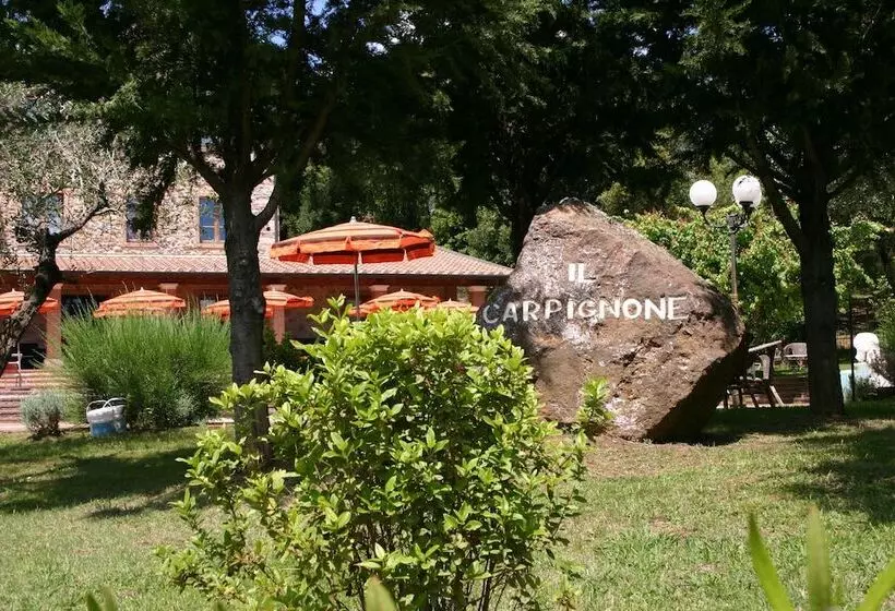 レジデンス Il Carpignone