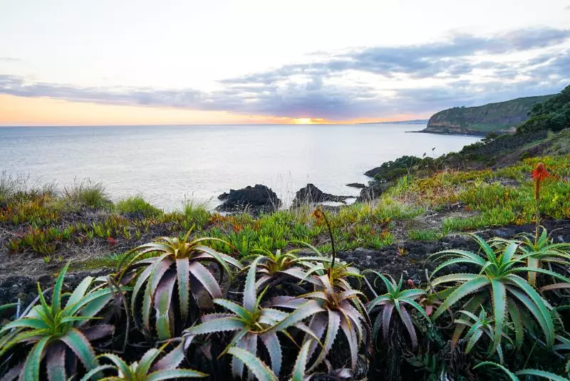 Aparthotel do Mirante