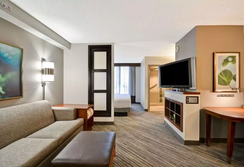 호텔 Hyatt Place Baton Rouge/i 10