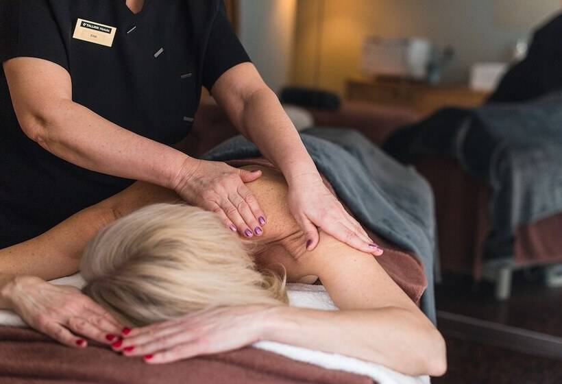 هتل Tallink Express