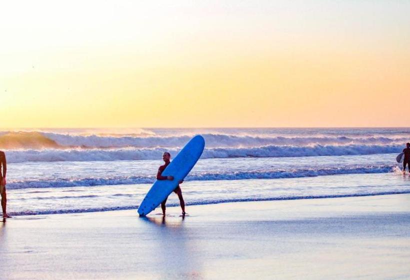 فندق صغير Tayought Surf House