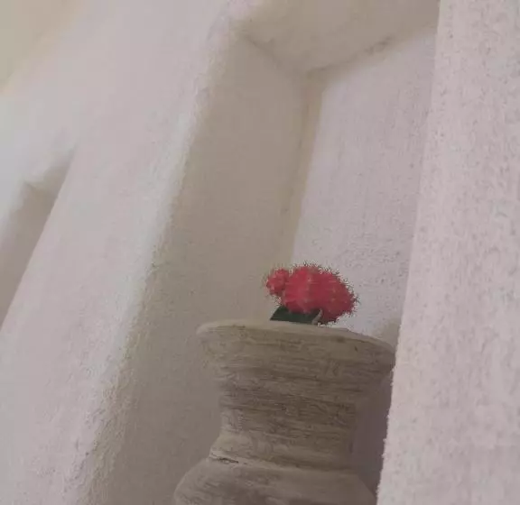 B&b Villa Rosalia