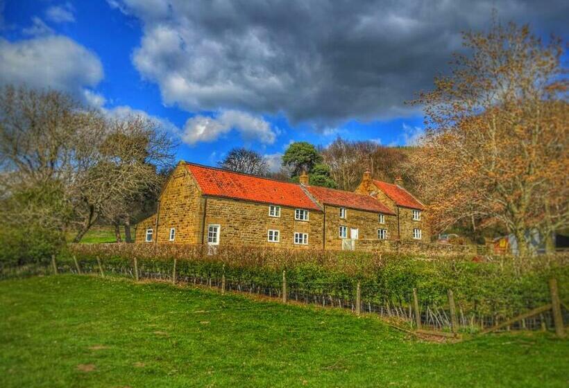 مبيت وإفطار Park House