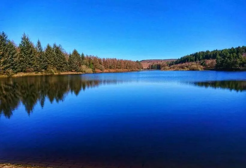 Aamiaismajoitus (B&B) Park House