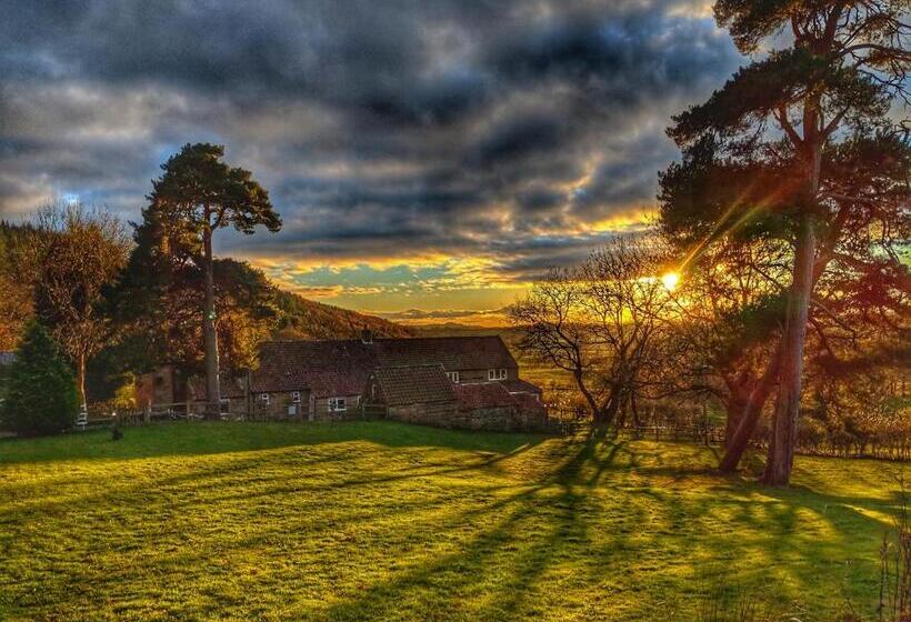 مبيت وإفطار Park House