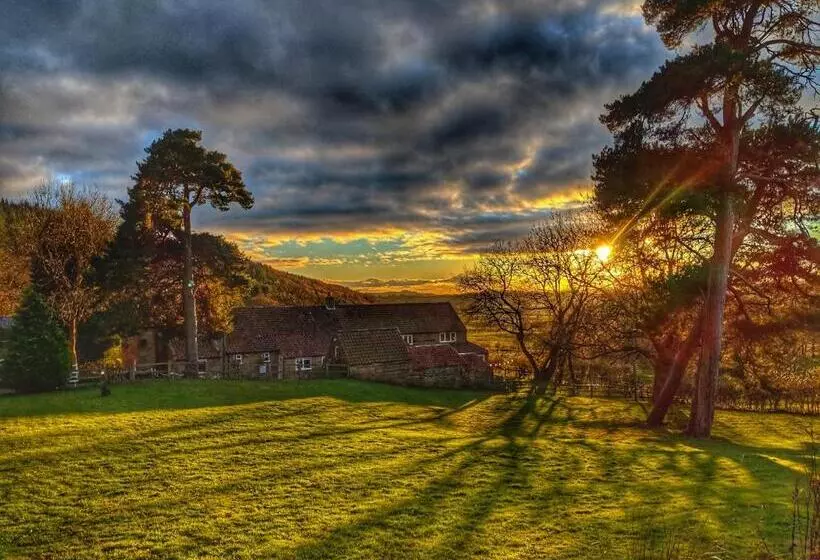 Aamiaismajoitus (B&B) Park House