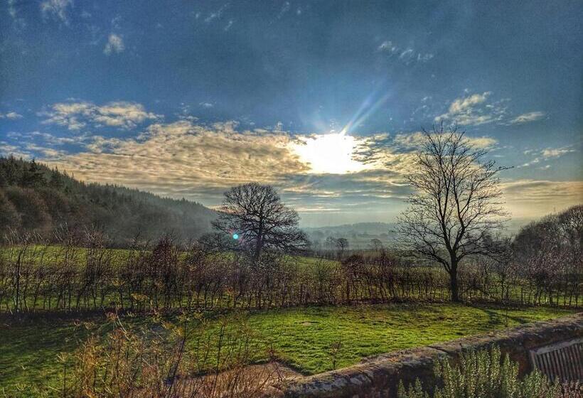 مبيت وإفطار Park House