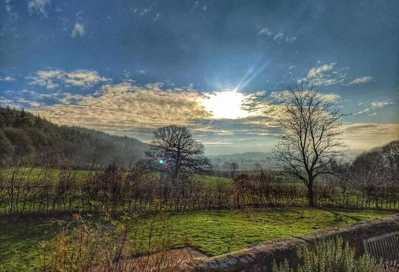 Aamiaismajoitus (B&B) Park House