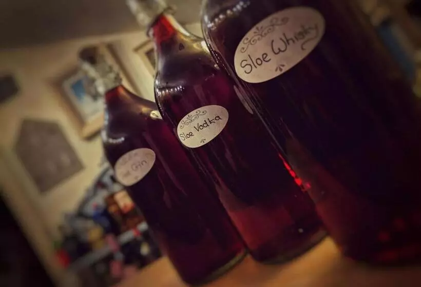 Aamiaismajoitus (B&B) Park House