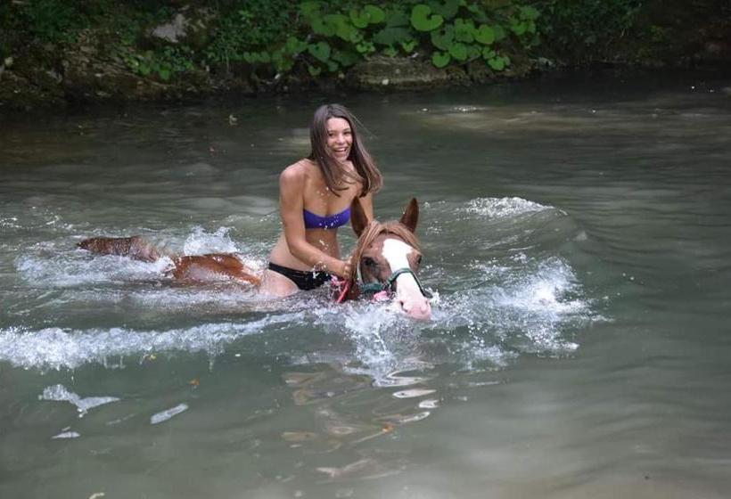 فندق Agriturismo Il Picchio Verde