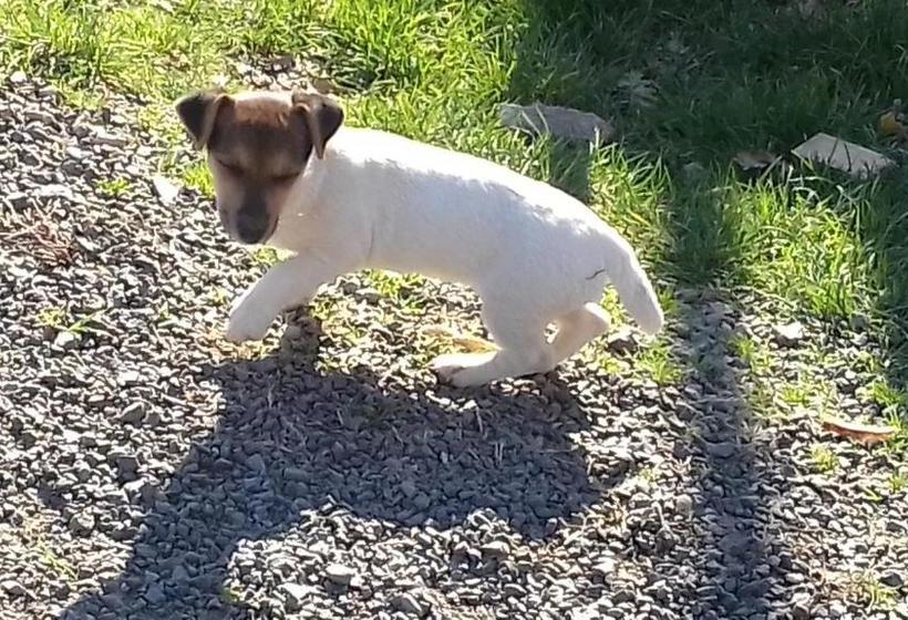 فندق Agriturismo Il Picchio Verde