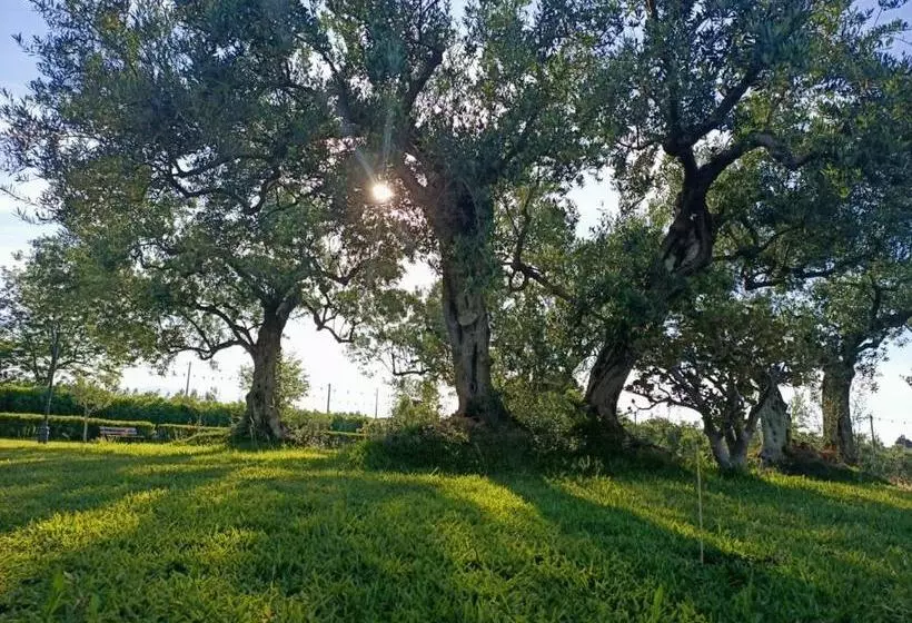 هتل Azienda Agrituristica Baglio Carta