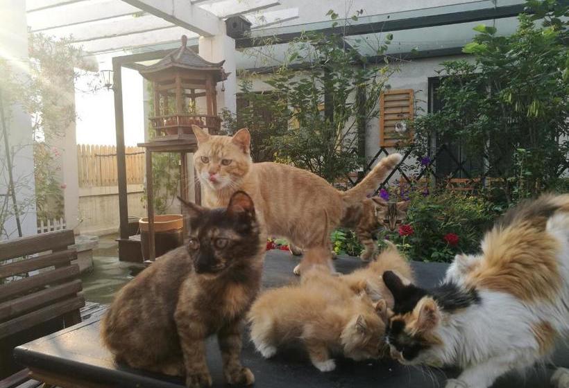 ユースホステル Anxi International Youth