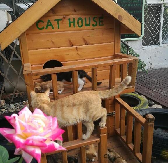 ユースホステル Anxi International Youth