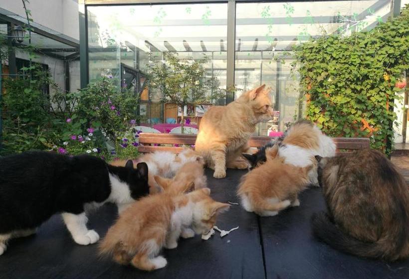 ユースホステル Anxi International Youth