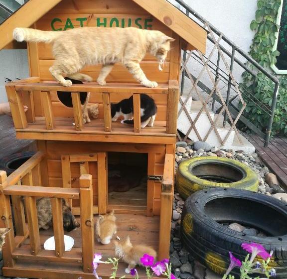 ユースホステル Anxi International Youth