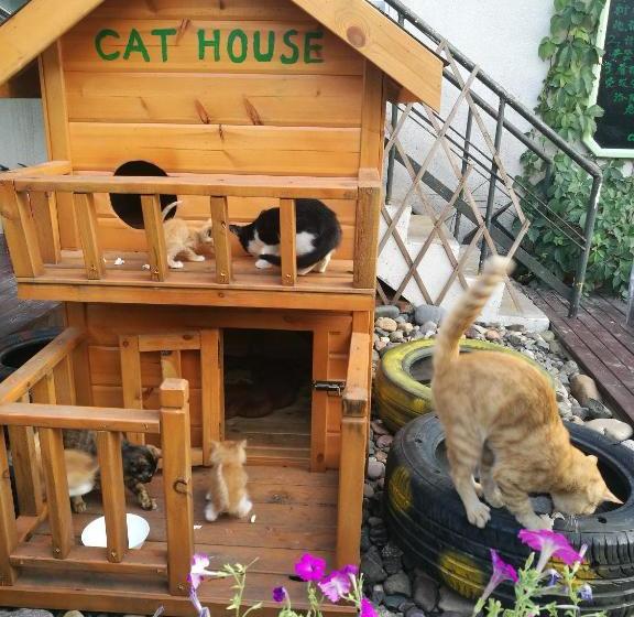 ユースホステル Anxi International Youth