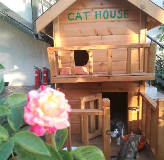 ユースホステル Anxi International Youth