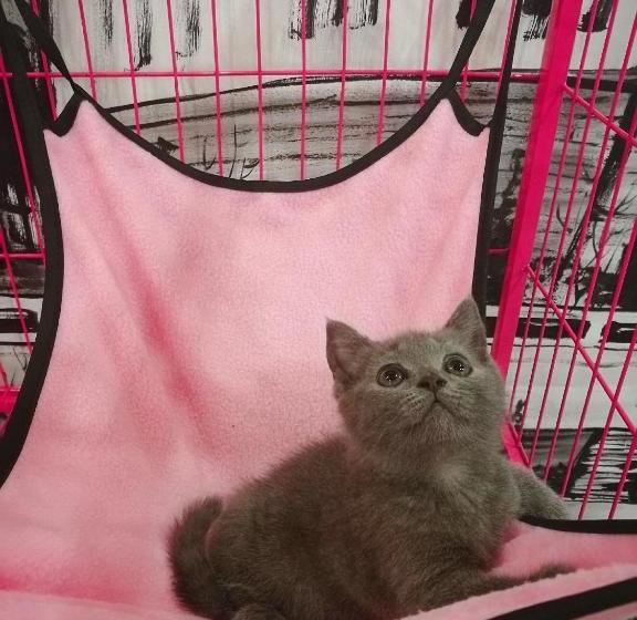 ユースホステル Anxi International Youth