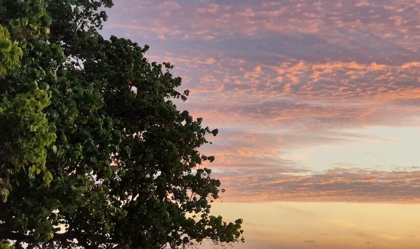 پانسیون Ilaa Beach Maldives