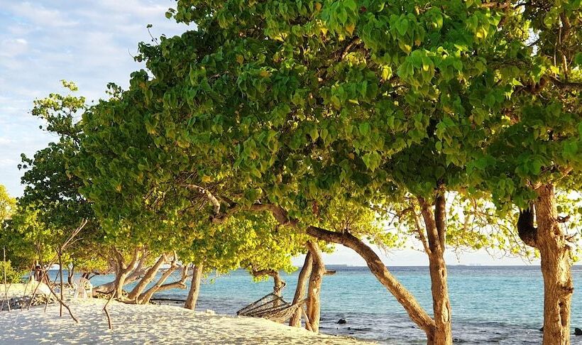 پانسیون Ilaa Beach Maldives