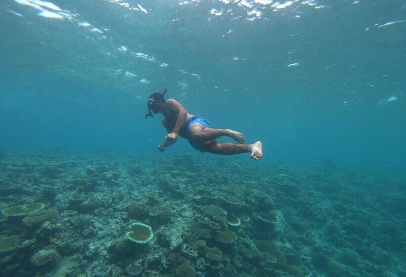 پانسیون Ilaa Beach Maldives