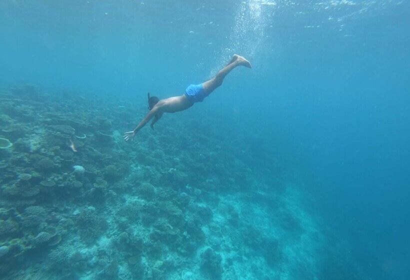 پانسیون Ilaa Beach Maldives