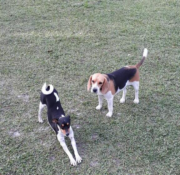 ペンション Pousada Sitio Parque Dos Lençóis