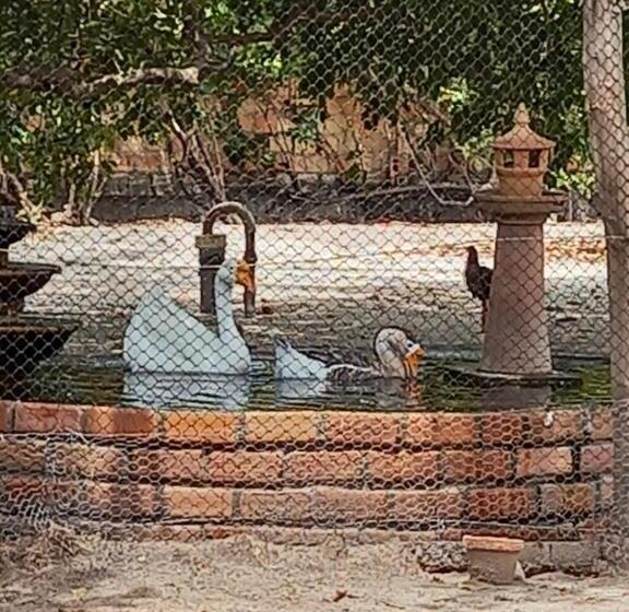 ペンション Pousada Sitio Parque Dos Lençóis