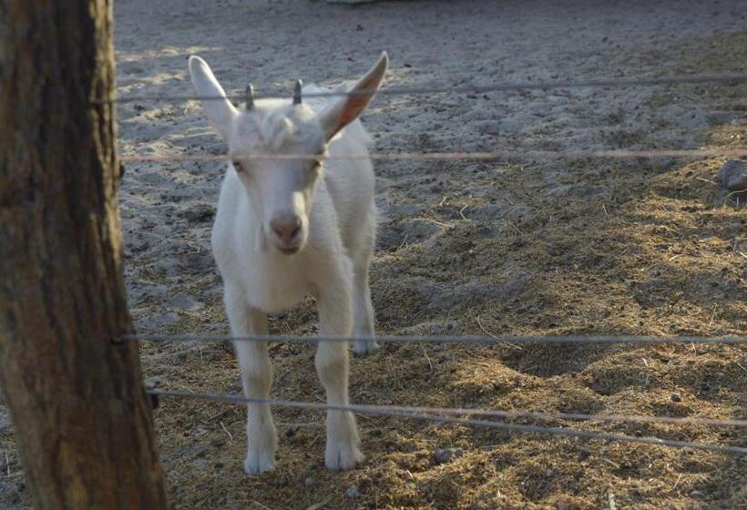 ペンション Pousada Sitio Parque Dos Lençóis