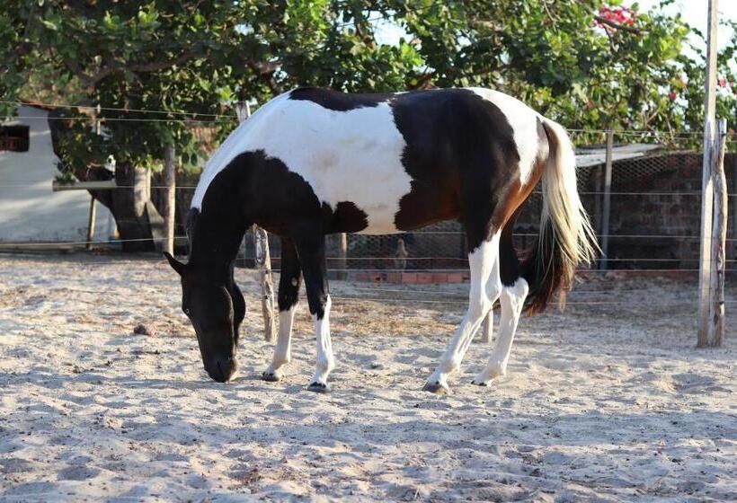 ペンション Pousada Sitio Parque Dos Lençóis