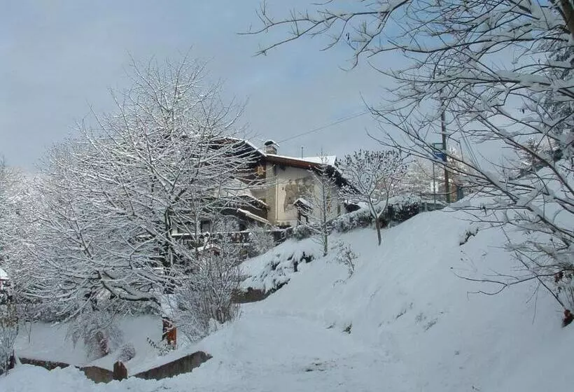 هتل Gasthof Majestic
