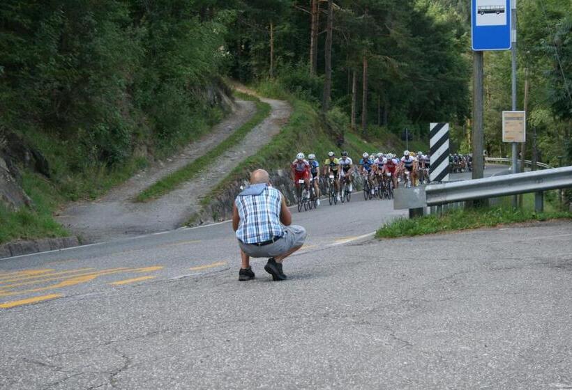 فندق Gasthof Majestic