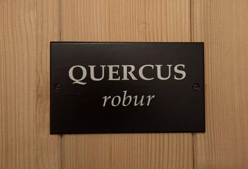 Aamiaismajoitus (B&B) La Barboire Campagne   Chambres