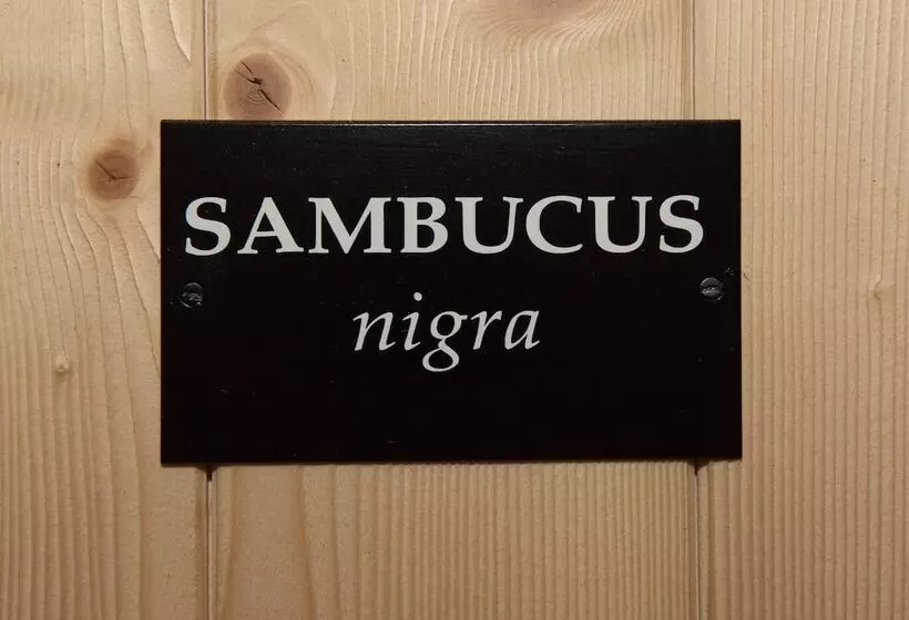 Aamiaismajoitus (B&B) La Barboire Campagne   Chambres