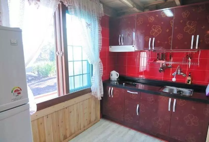 ホテル Jeju Sannaedeul Pension