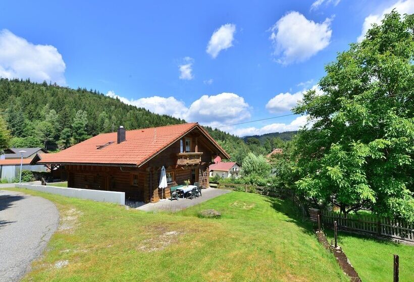 Holiday Home Near Ski Area