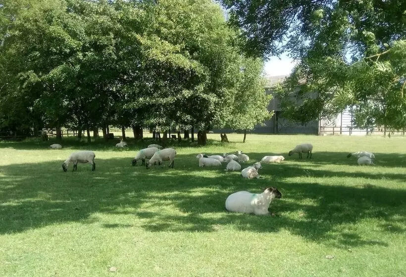 Lodge In Countryside With Fine Views