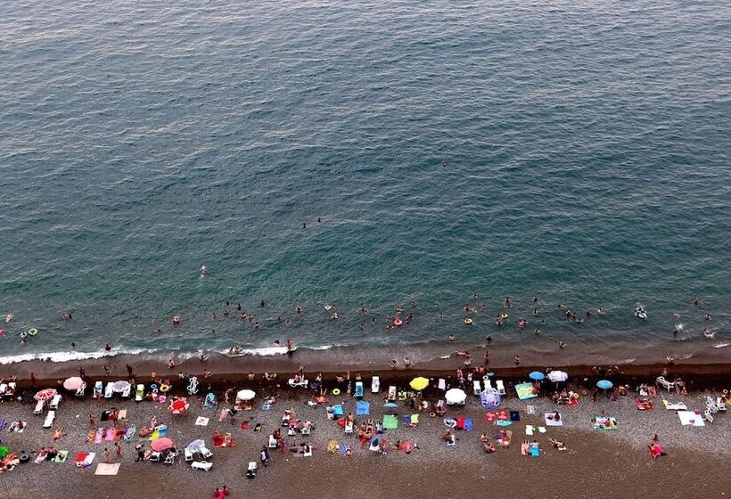 پانسیون Twins