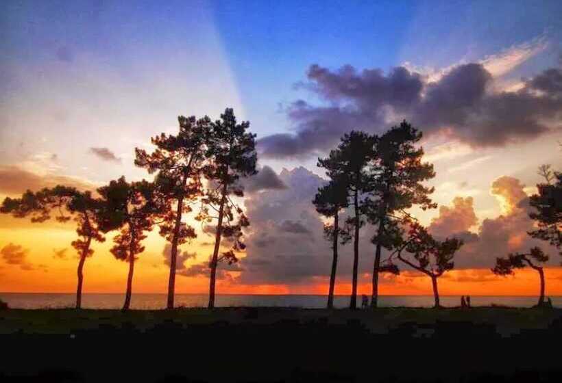 پانسیون Twins