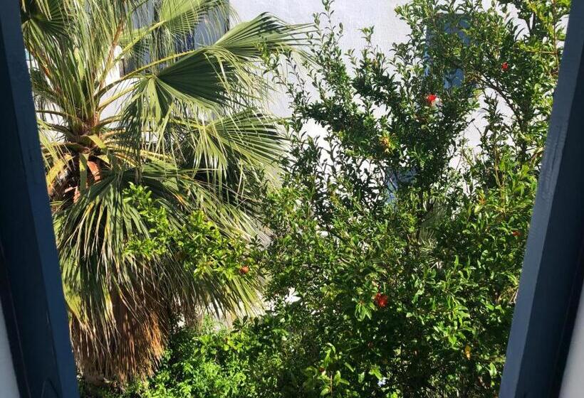 Rania Apartments Sea View