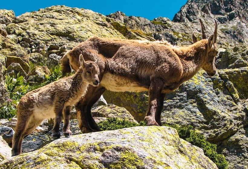 호스텔 Relais Des Merveilles