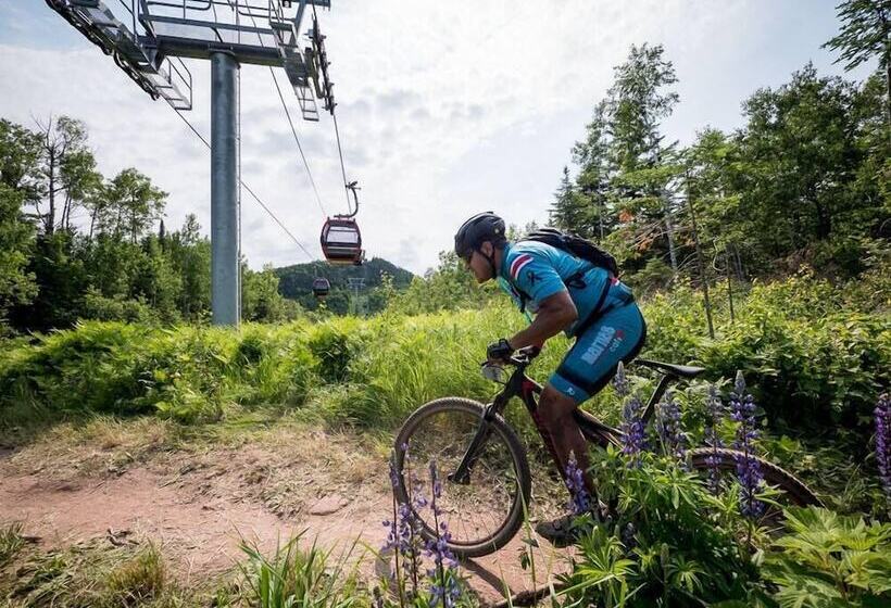 호텔 Eagle Ridge Resort At Lutsen Mountains