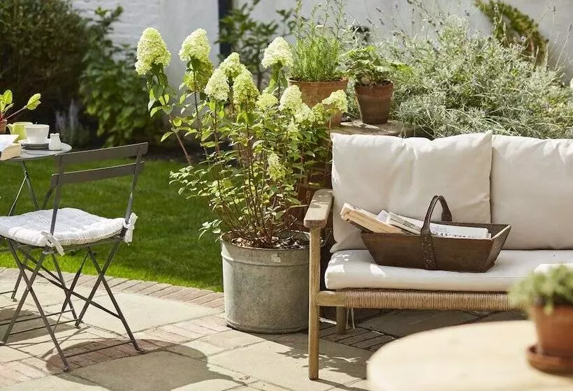 Lime Tree By Room Mate Hotels